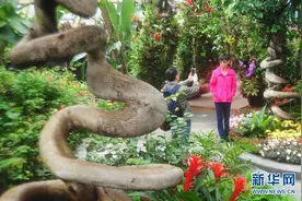 太原植物园投入试运营图片