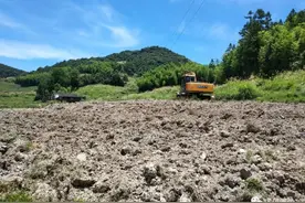 真人版“QQ农场”！快来闽侯仙山当个快乐农场主图片