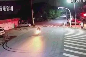 和两只狗“吵架”吵输了 醉驾男子报警求助图片
