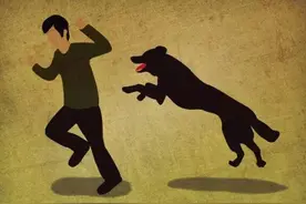 认识狂犬病，了解狂犬病图片