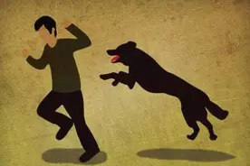 认识狂犬病，了解狂犬病图片