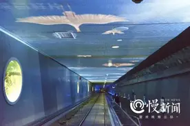 慢新闻｜国庆周边游，这两条官方推荐精品路线了解一下图片
