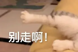 破解城市“堵局”，南京交警在行动！图片