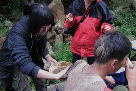 “娜姐”有双“魔术手”图片