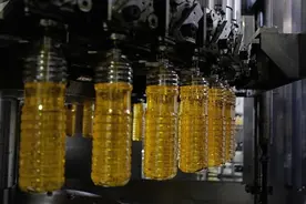 俄罗斯胃肠病学家阿列克谢布维罗夫：最有益的食用油是南瓜子油图片