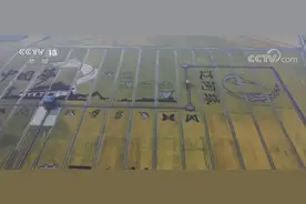 坐高铁看中国！登上哈大高铁 咱们不见不散图片