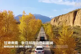 大美中国｜甘肃肃南：秋日祁连山色彩斑斓视频封面