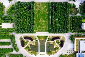 “陕西森林大学超级飞侠”C位出道！图片