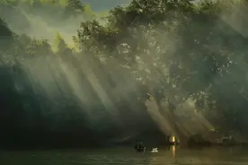 浙江12种重点珍稀濒危野生动物 你见过几种？图片