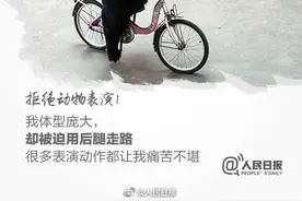 一起呼吁：这个假期，拒绝动物表演图片