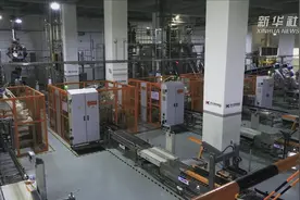 电商助“中国宠物食品之乡”产销两旺视频封面