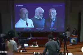 诺贝尔生理学或医学奖揭晓，是他们仨图片