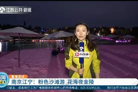 浪漫似仙境！梦幻粉色沙滩重磅来袭，花海夜金陵邀你来打卡视频封面