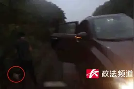 神操作！小狗吵闹要透气？驾驶员竟高速上遛狗图片