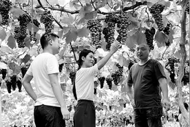 西部“人才辈出、江山依旧”如何改观图片