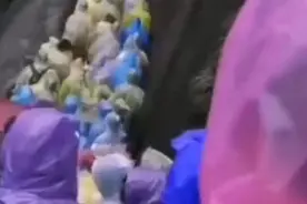 “我后悔了！我想回家！”黄山游客的心声过分真实图片