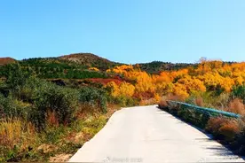 河北崇礼层林尽染红叶烂漫 美如油画图片