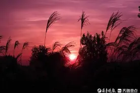 秋见好时光｜日出东方红似火，潍坊安丘凤凰山现绝美朝霞图片