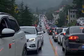 豫A到豫V，还有各种天南海北车牌……河南一景区快集齐了图片