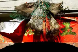 莆田纪行：神奇的涵江厌胜物，门楣上挂“小蓑衣”图片