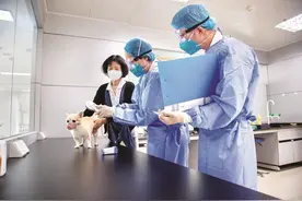 惠州海关成功办理全国首票线上预约出境宠物检疫业务图片