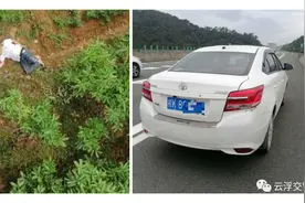 广西一男子内急，高速上停车跨越护栏，从20多米高桥坠落图片