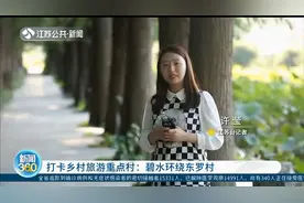 打卡乡村旅游重点村！泰州兴化：碧水环绕东罗村视频封面
