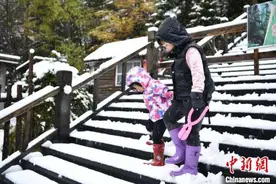 亚雪公路经昼夜清雪恢复通行：游客顺畅往返雪乡图片