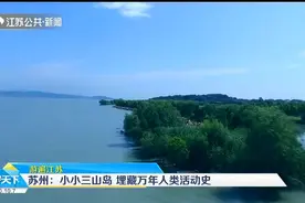 苏州小小三山岛，埋藏万年人类活动史，是不是很惊奇？视频封面