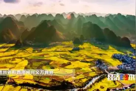 炒饭也有“产业链”？这里的蛋炒饭可不简单图片