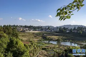 阿佤人民再唱新歌——云南腾冲市三家村中寨司莫拉佤族村脱贫调查图片