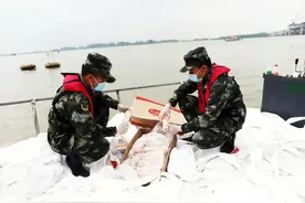 紧急提醒！这些鸡翅、鸡爪千万别吃图片