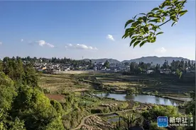 云南腾冲市三家村中寨司莫拉佤族村脱贫调查：阿佤人民再唱新歌图片