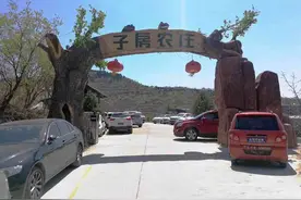 农家乐假期每天炖30多只鸡 感受济南人的“吃鸡”热情图片