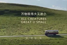 豆瓣评分9.4 这部乡村职场剧成BBC五年来收视最高图片