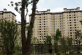 6000户农民搬入地铁站旁的新居，闵行这个镇坚持拿出黄金地块建动迁安置房图片