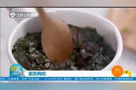 紫苏怎么吃？快来学习这两种做法，简单易学味道浓郁！视频封面