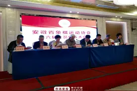 安徽象棋发展将迎来“华丽转身”-24H图片