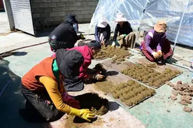 散文｜蒋蓝：桑登的烟与火图片