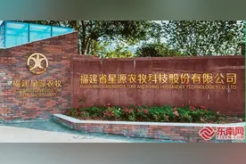 一个人和两千头猪——福建星源农牧孕育“智慧”生猪图片