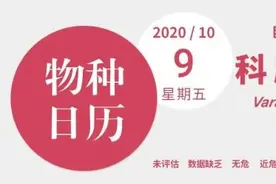 《金刚》的原型不是大猩猩，而是……龙？图片
