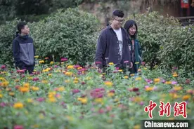 贵州：数字经济助消费升级“十一”黄金周零售和餐饮销售同比增长11.4%图片