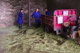 贵州六盘水：村里的“懒汉”忙起来了图片