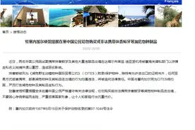 驻塞内加尔使馆提醒在塞中国公民：切勿购买或非法携带抹香鲸牙等濒危物种制品图片