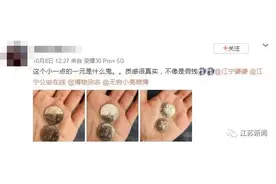 “这个小一点的1元是什么？”图片