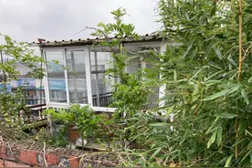 随意改造房屋？违建的，曝光！冻结！拆！图片