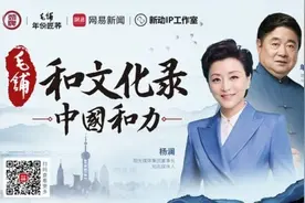 解读《中国和力》｜单霁翔：故宫精神“和而不同”图片