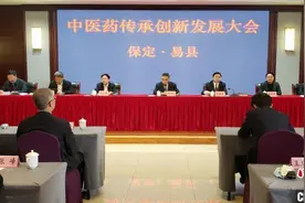 河北易县中医药传承创新发展大会开幕 张伯礼现场致辞图片