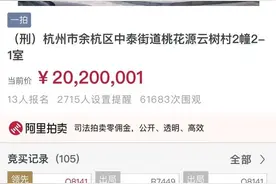 “四季青一霸”的桃花源别墅1元起拍，刚刚2020万成交图片