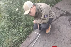 四川通江：5龄童深山发现恐龙足印 专家称系四川盆地北缘首次发现图片